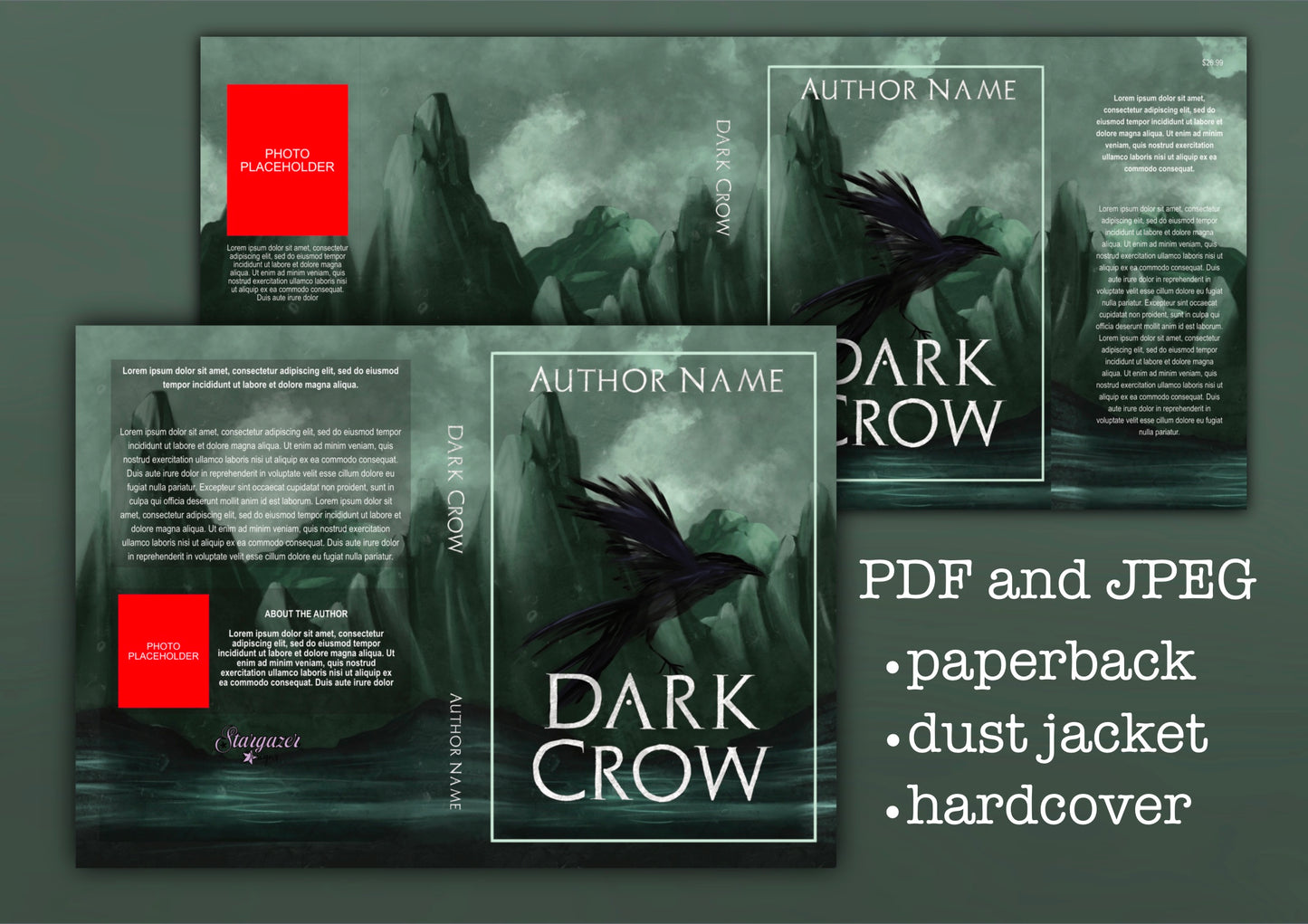 Premade Dark Fantasy Cover | Custom eBook Cover Design