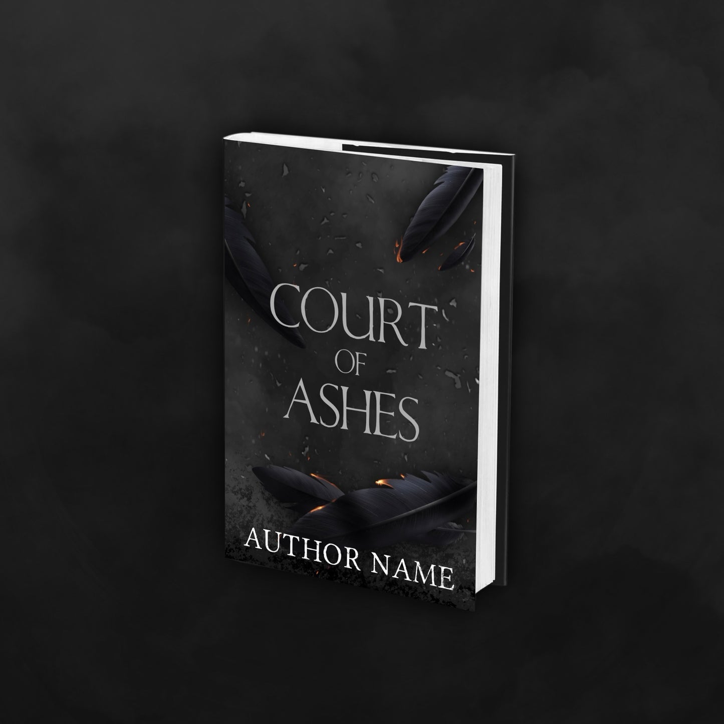 Premade Ash and Crow/Raven Feather Cover | Custom eBook Cover Design